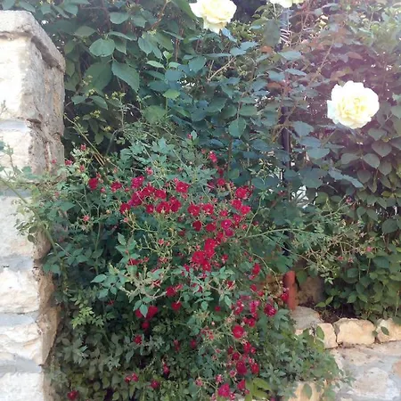 Esmeralda Apartament *