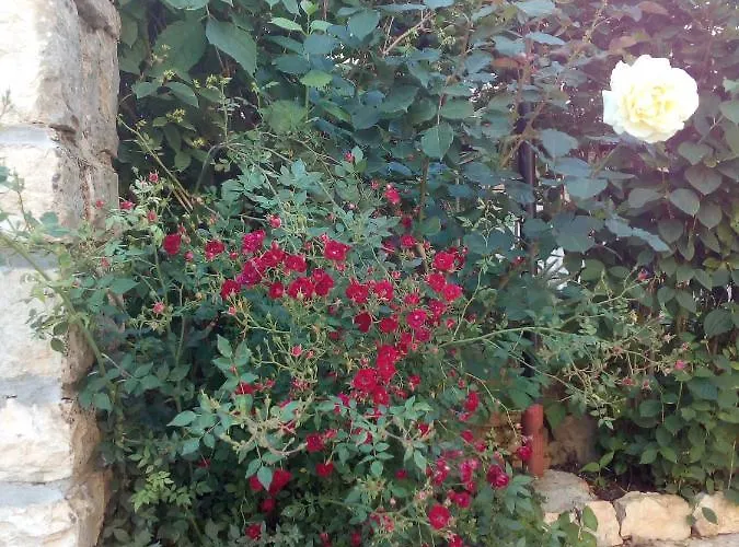 Esmeralda Appartement *